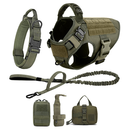Dog Harness And Leash Set