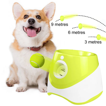 Automatic Dog Ball Launcher