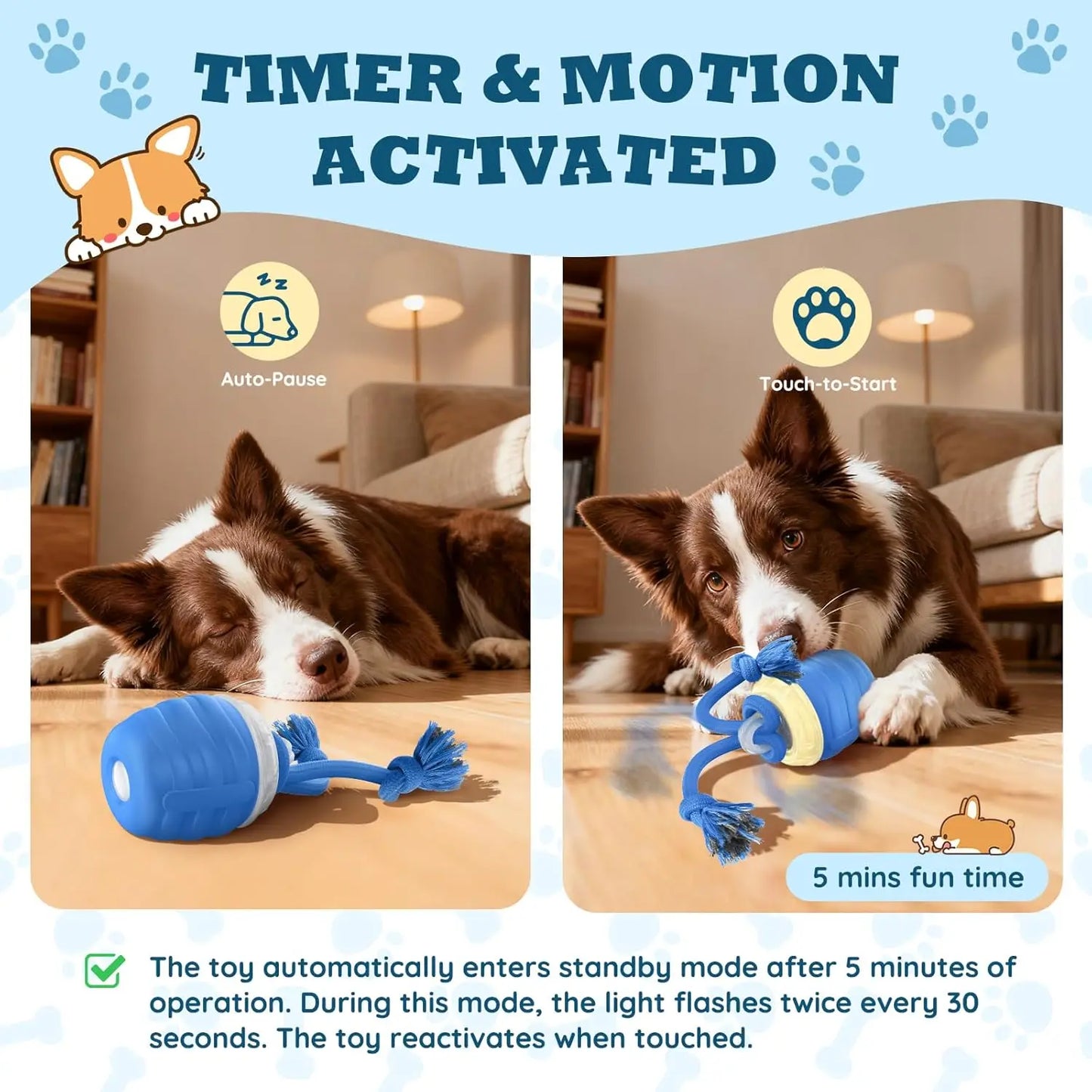 Interactive Dog Toys