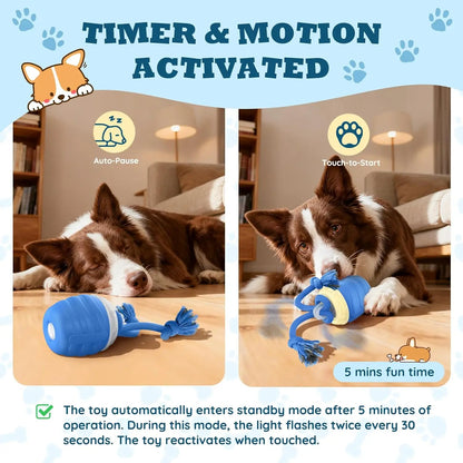 Interactive Dog Toys