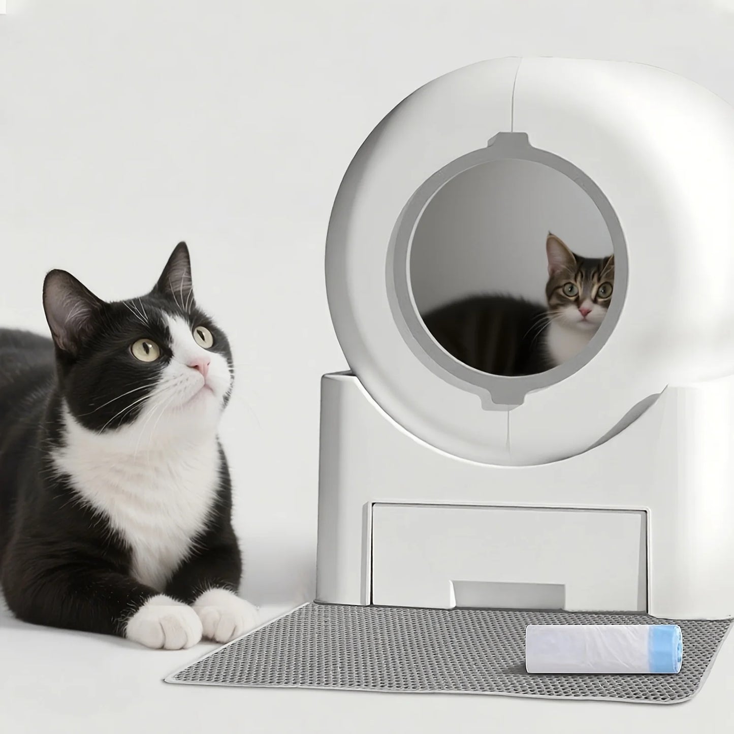 Self-Cleaning Cat Litter Box