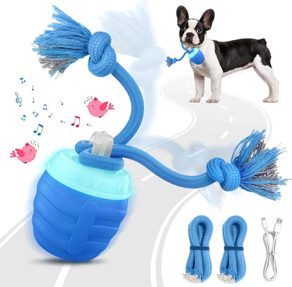 Interactive Dog Toys