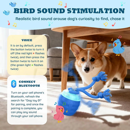 Interactive Dog Toys