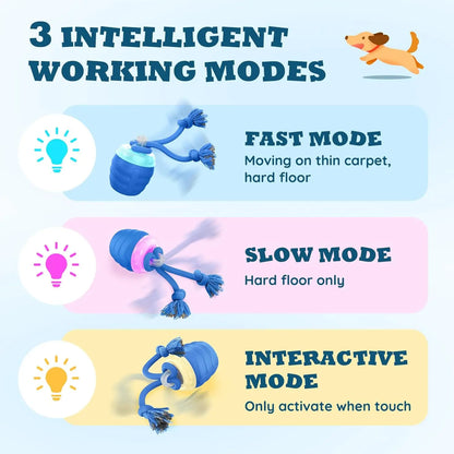 Interactive Dog Toys